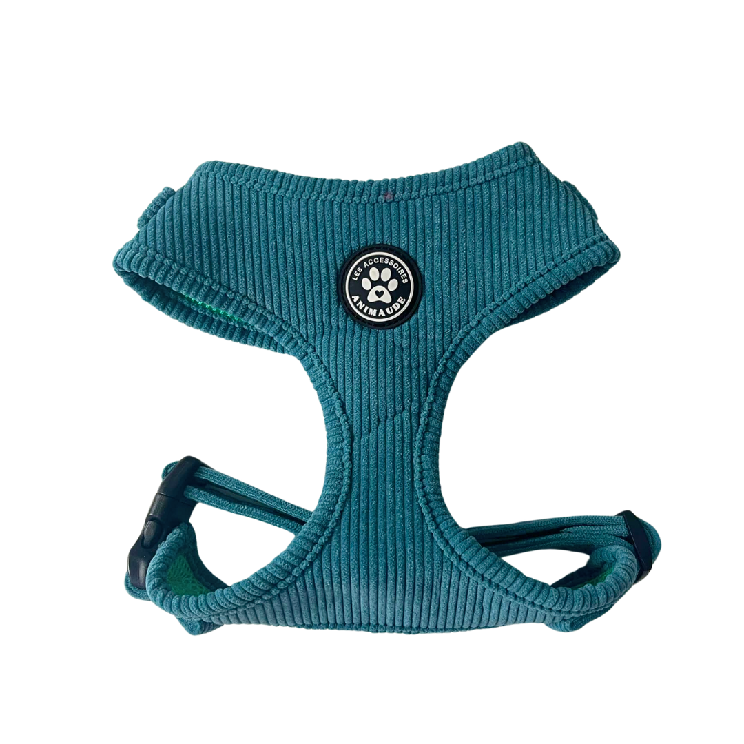 Harnais cyan corduroy