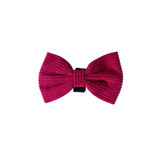 boucle magenta en corduroy