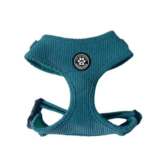Harnais cyan corduroy