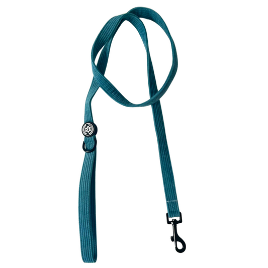Laisse cyan en corduroy