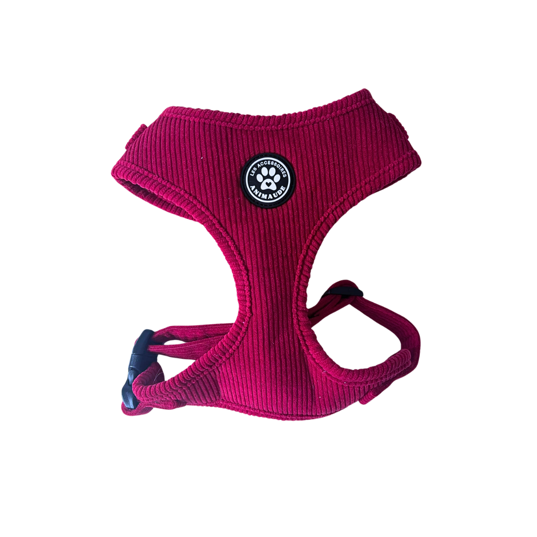 Harnais magenta en corduroy