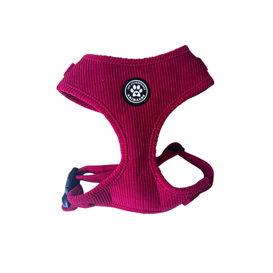 Harnais magenta en corduroy