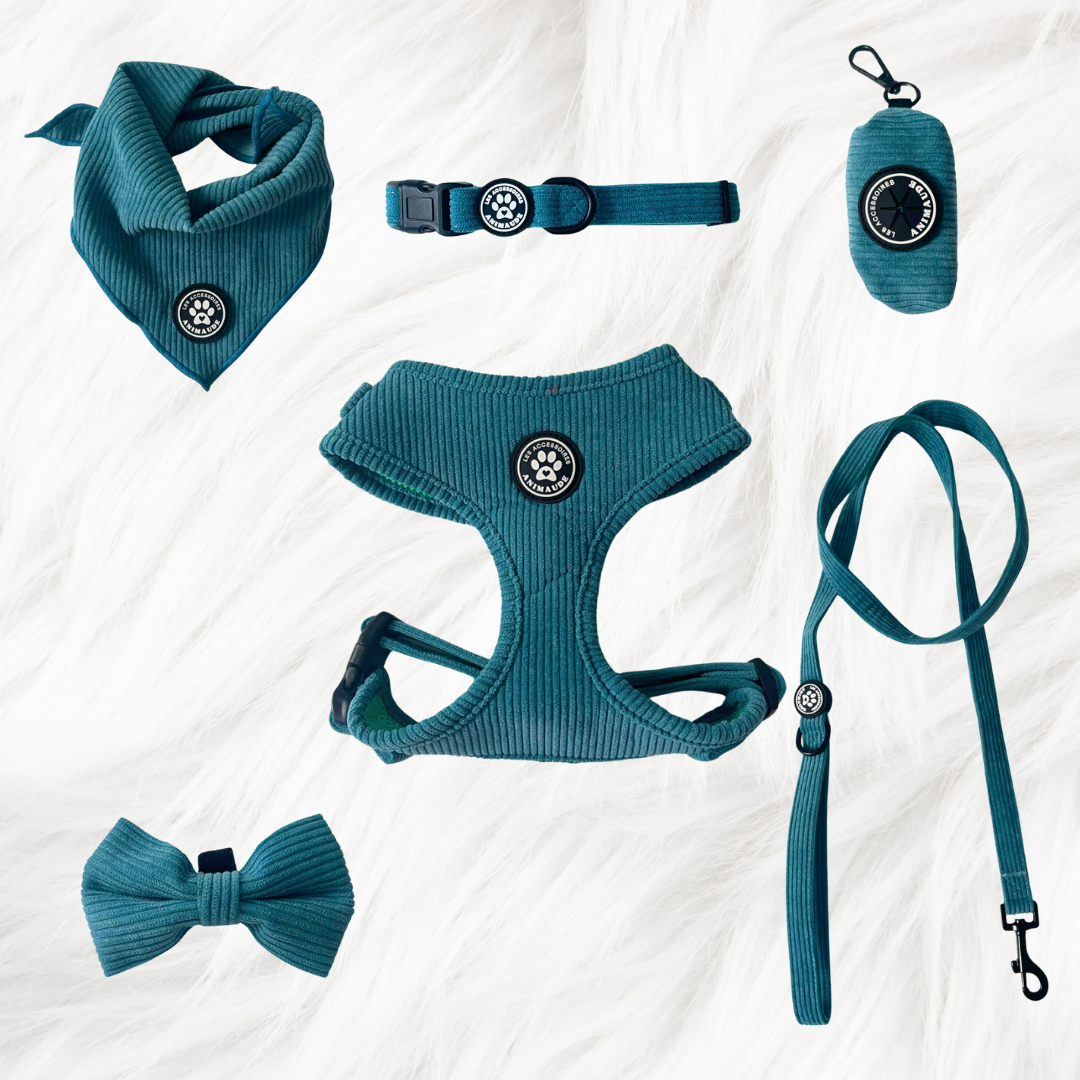 Ensemble cyan en corduroy