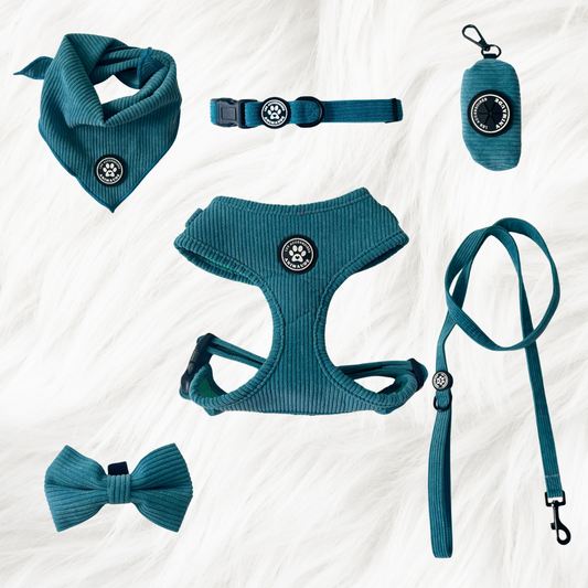 Ensemble cyan en corduroy