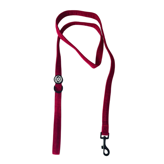 Laisse magenta en corduroy